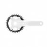 Plato Shimano XT para bielas FC-M8000 1x11