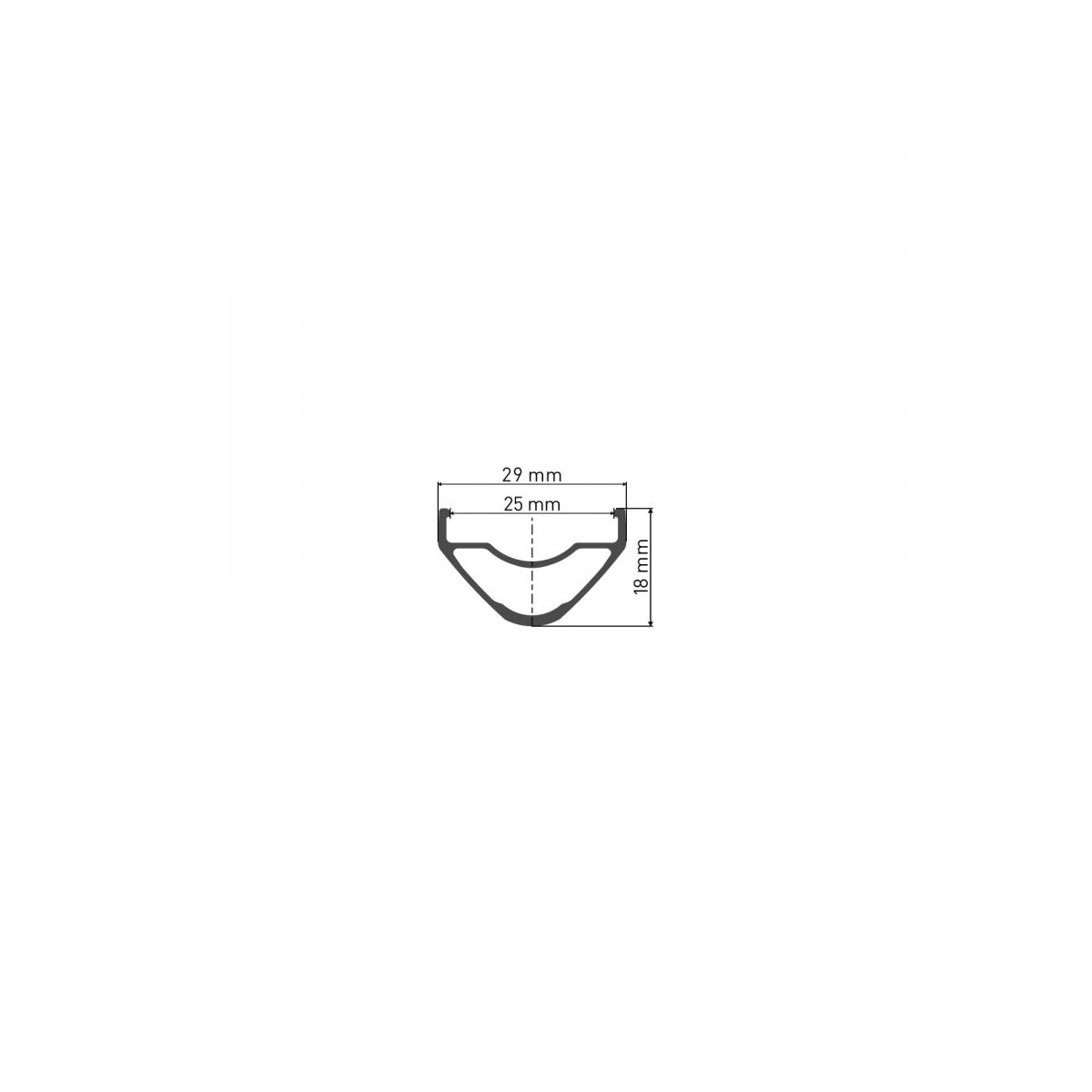Aro Dt Swiss XR 391 29" 25mm