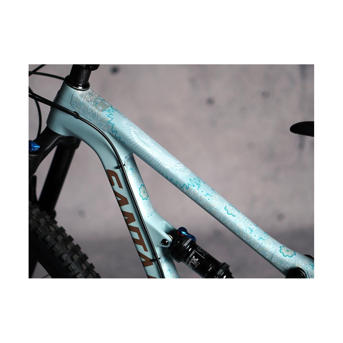 Protector de Cuadro DYED BRO | GUADALUPE BLANCO