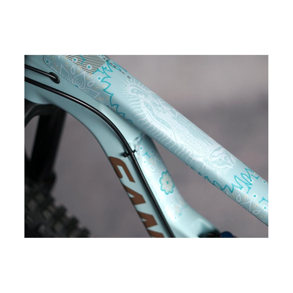 Protector de Cuadro DYED BRO | GUADALUPE BLANCO