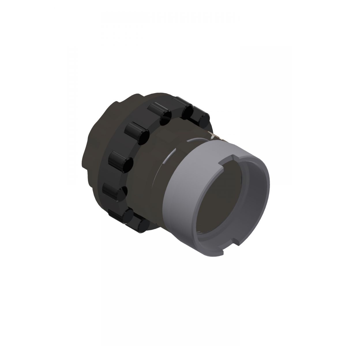 Dt Swiss Assembly Kit Pawl carrier