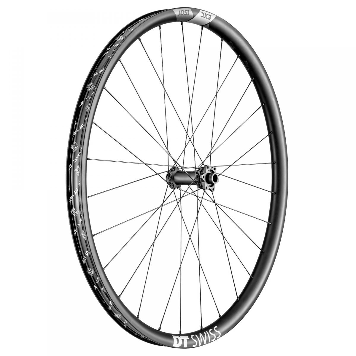 Dt Swiss - Rueda delantera EXC 1501 29" 30mm 15x110 carbono