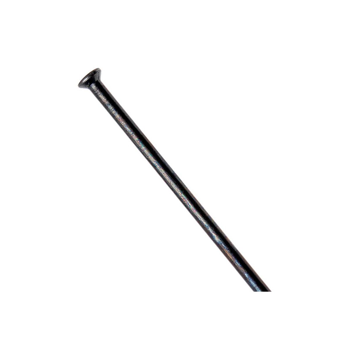 DT SWISS - Radios Champion 2mm Straight Pull Negro