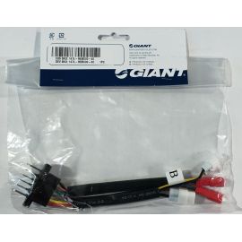 Cables de recambio para bateria Giant 2022