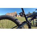 Remolcador de bicicletas Trax MTB Pro tija de sillín