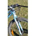 Remolcador de bicicletas Trax Flex remolcador