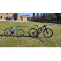 test Remolcador de bicicletas Trax Flex