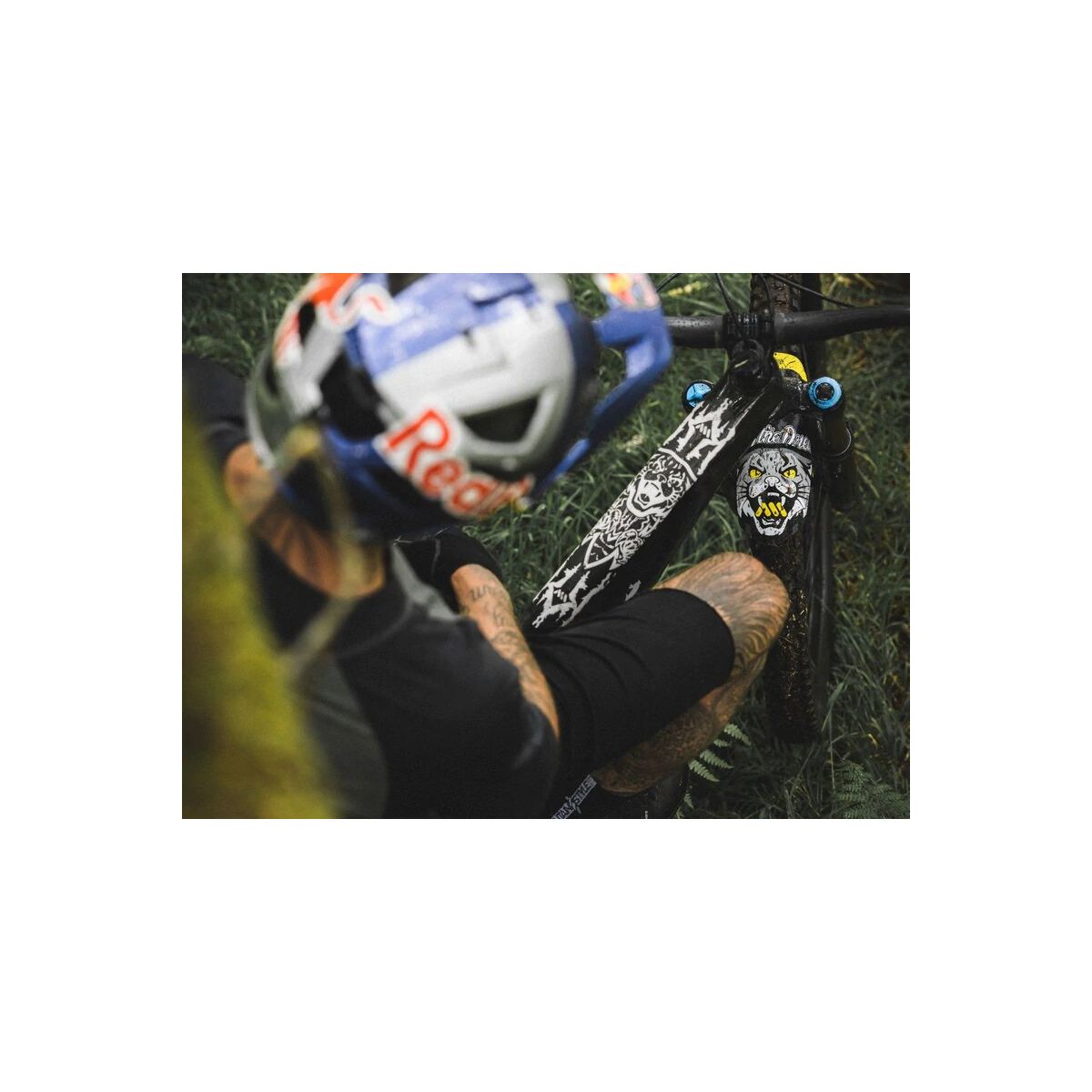 Protector de cuadro AMS Extra Kriss Kyle