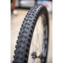 Cubierta DE ENDURO LIGERA Y BARATA Chaoyang Persuader Dry 29"x2.40 TR 3C-AM 60TPI