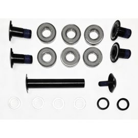 Kit tornillos y rodamientos bieleta Giant Reign Advanced 2021/2022 1280GSG00103B1