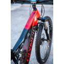 CUADRO DE LA Bicicleta eléctrica Olympia EX900 Prime batería 900Wh motor M100- color rojo DE OCASIÓN
