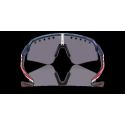 Gafas Oakley Sutro Lite Sweep Prizm Troy Lee Designs