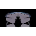 Gafas Oakley Sutro Lite Sweep Prizm Troy Lee Designs