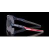 Gafas Oakley Sutro Lite Sweep Prizm Troy Lee Designs