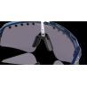 Gafas Oakley Sutro Lite Sweep Prizm Troy Lee Designs
