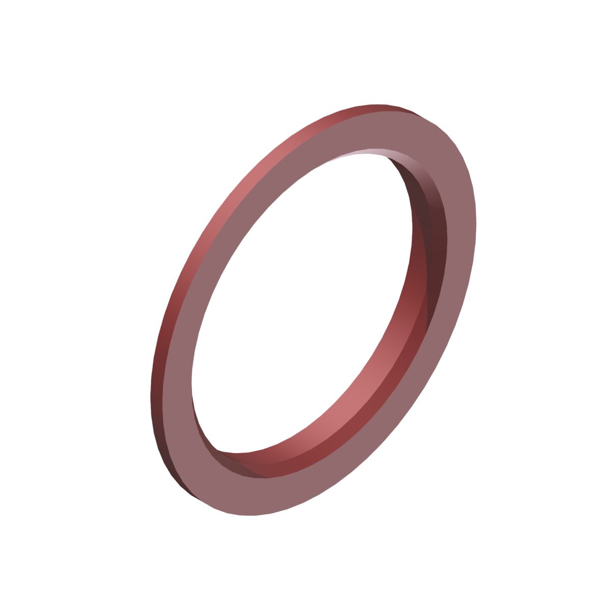 Anillo DT Swiss para núcleos Shimano ratchet 1ud