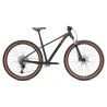 Bicicleta MTB Liv Tempt 0 2026 29"