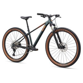 Bicicleta MTB Liv Tempt 0 2026 29"