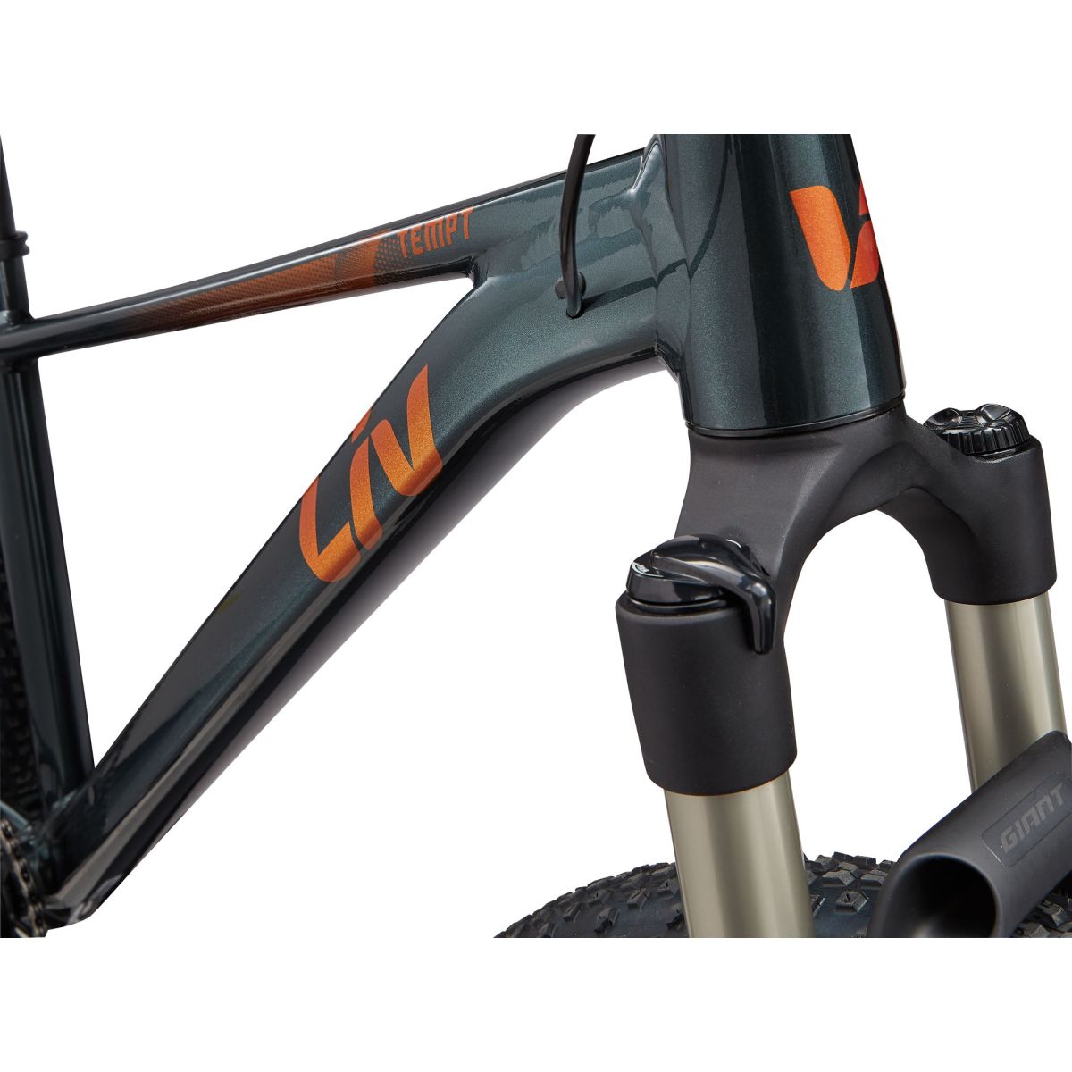 CABLEADO Bicicleta MTB Liv Tempt 0 2026 29"