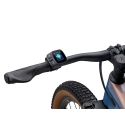 pantalla Ebike Liv Tempt E+ mujer