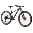 Bicicleta mtb mujer Liv Tempt 1