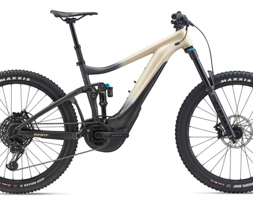 Giant Reign E+ 2 Pro 2020