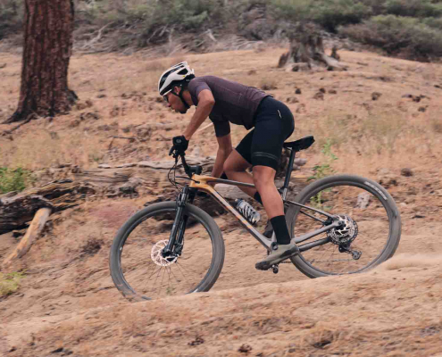 2020 XTC 2