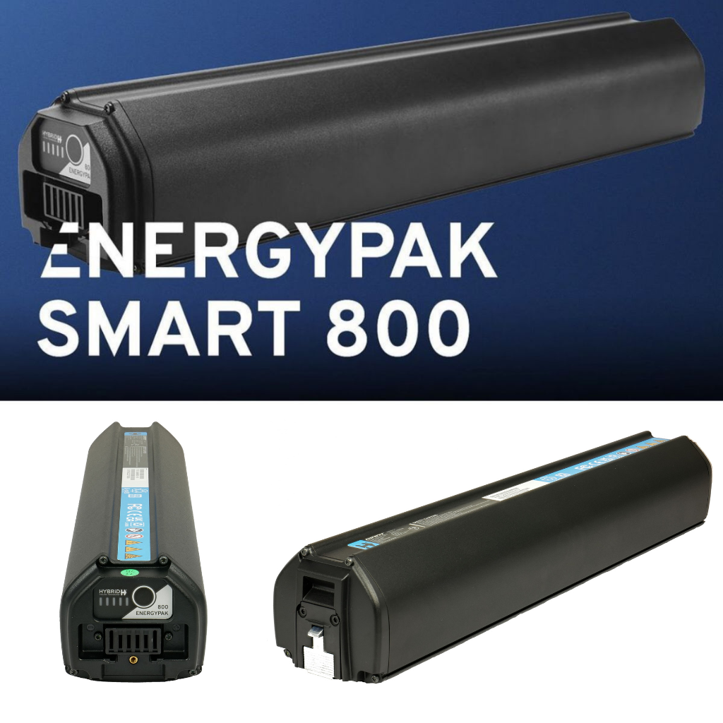 Batería Giant EnergyPak 800Wh